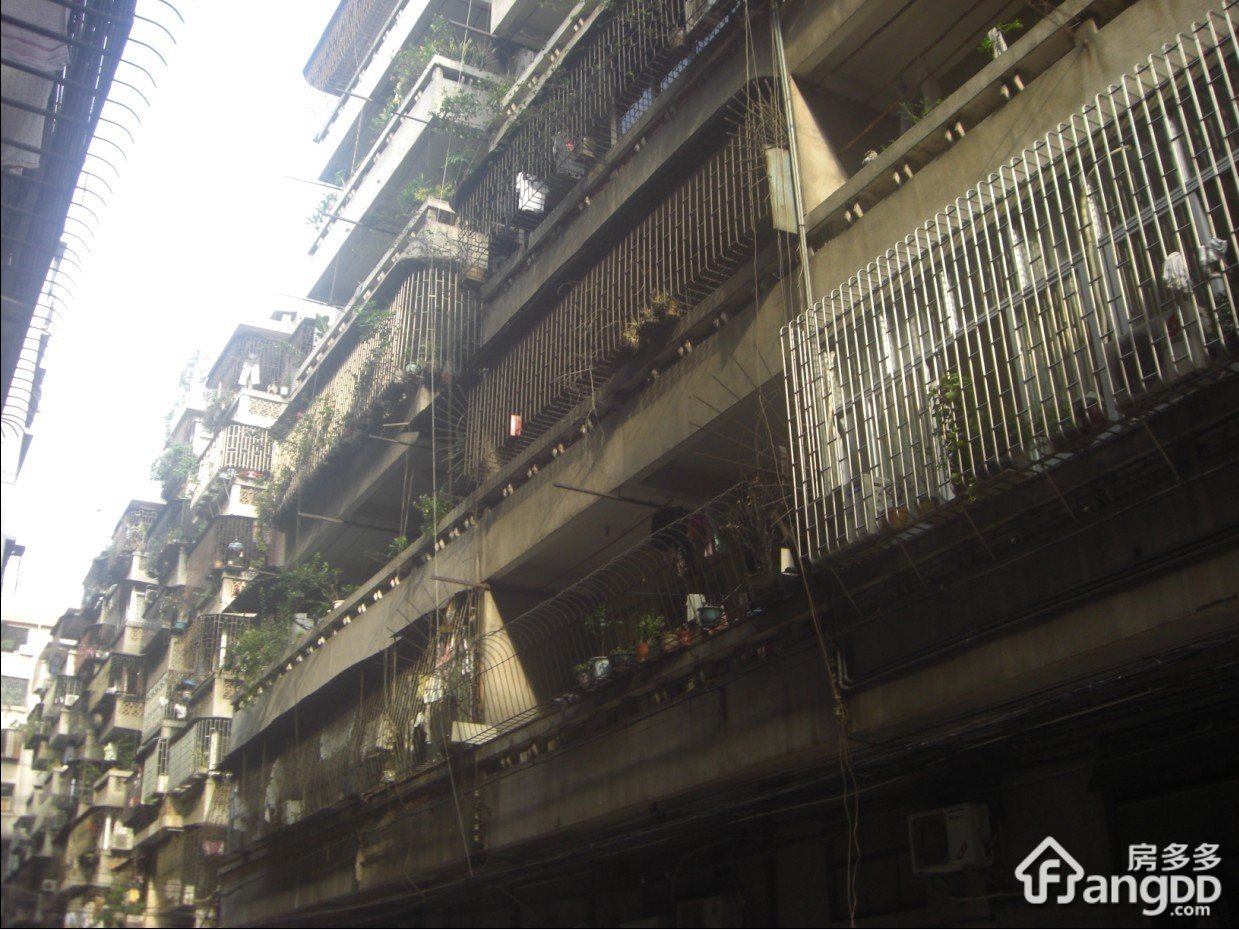 南桂西路小区图片