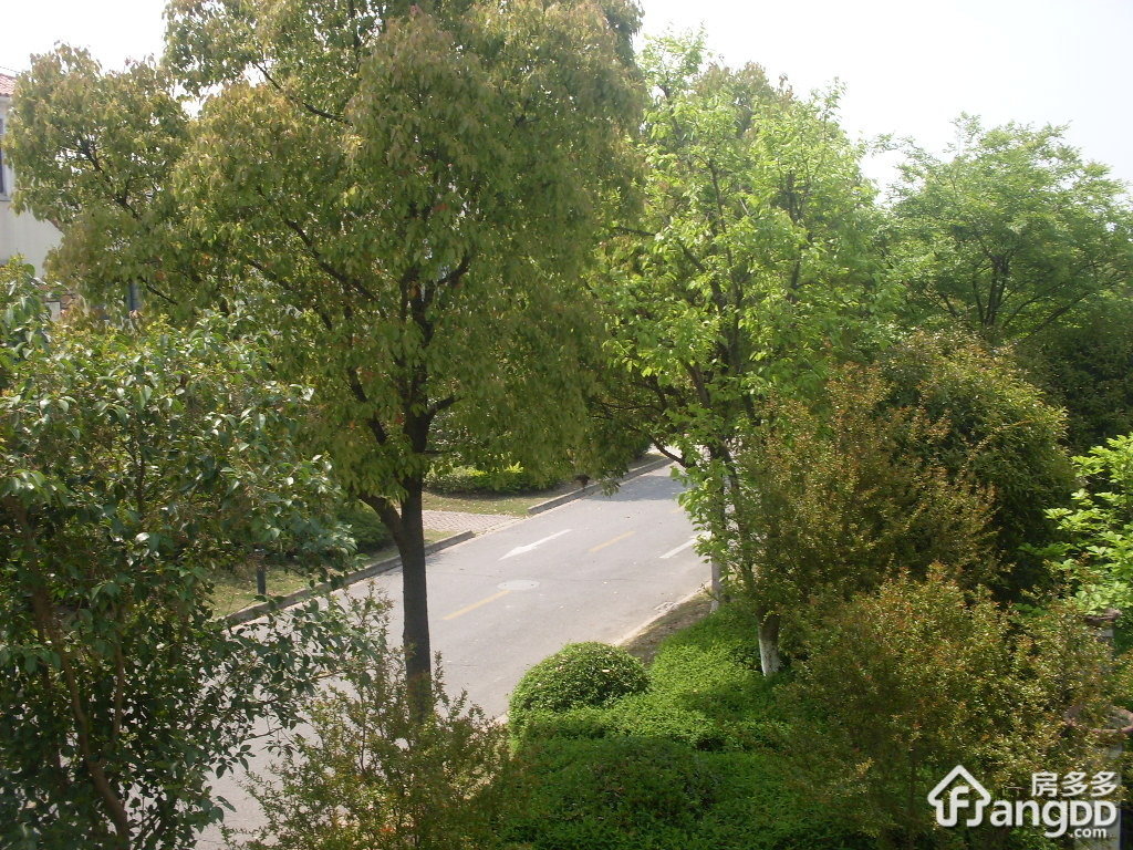 花望新村小区图片