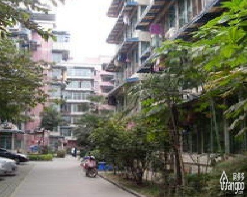梓潼街小区图片