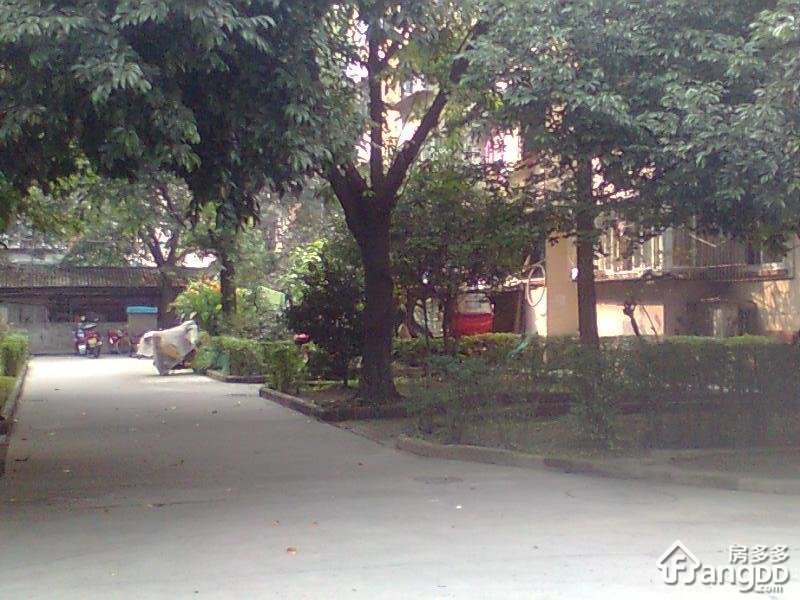 烽火新区小区图片