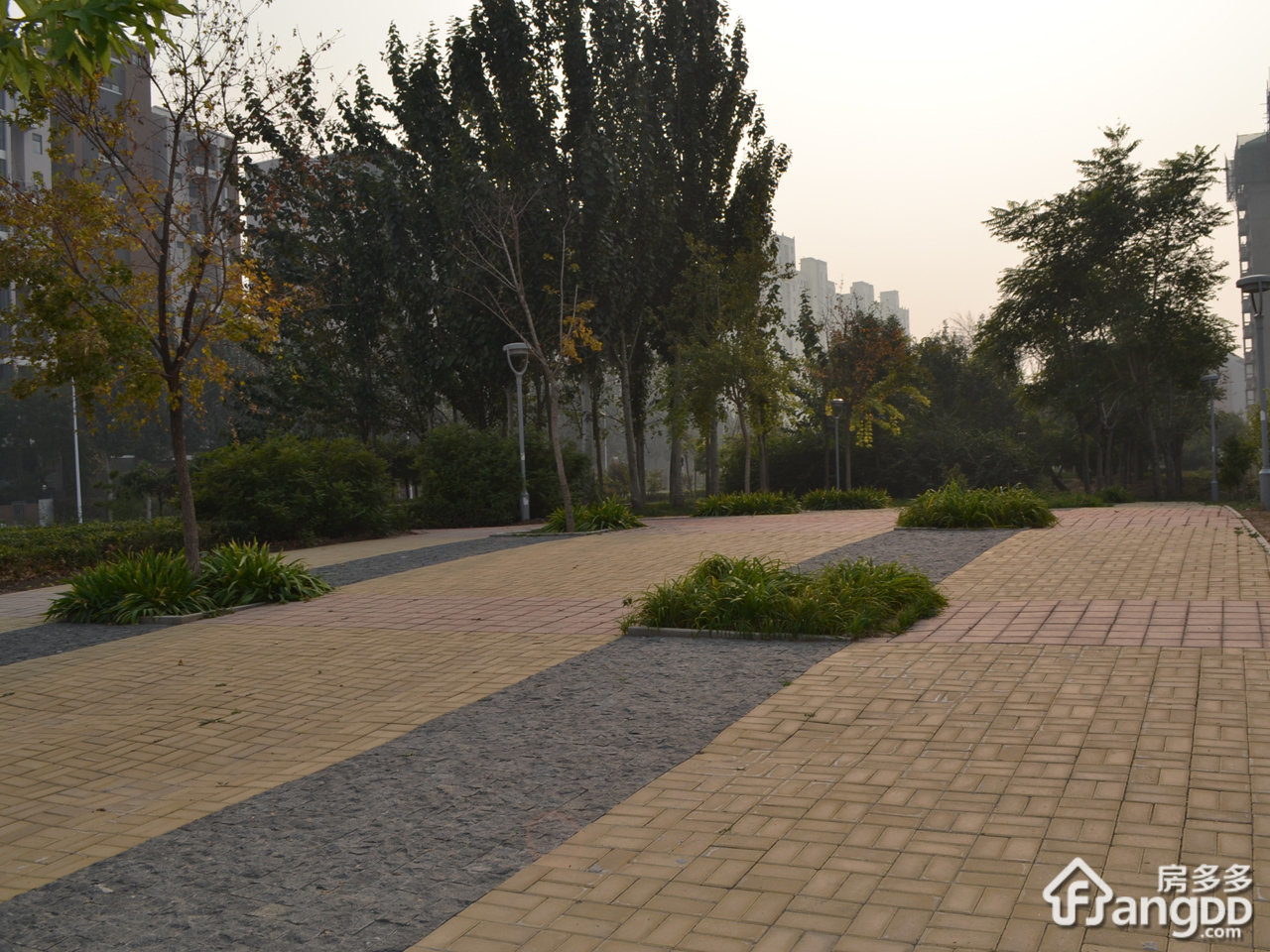星河荣御小区图片