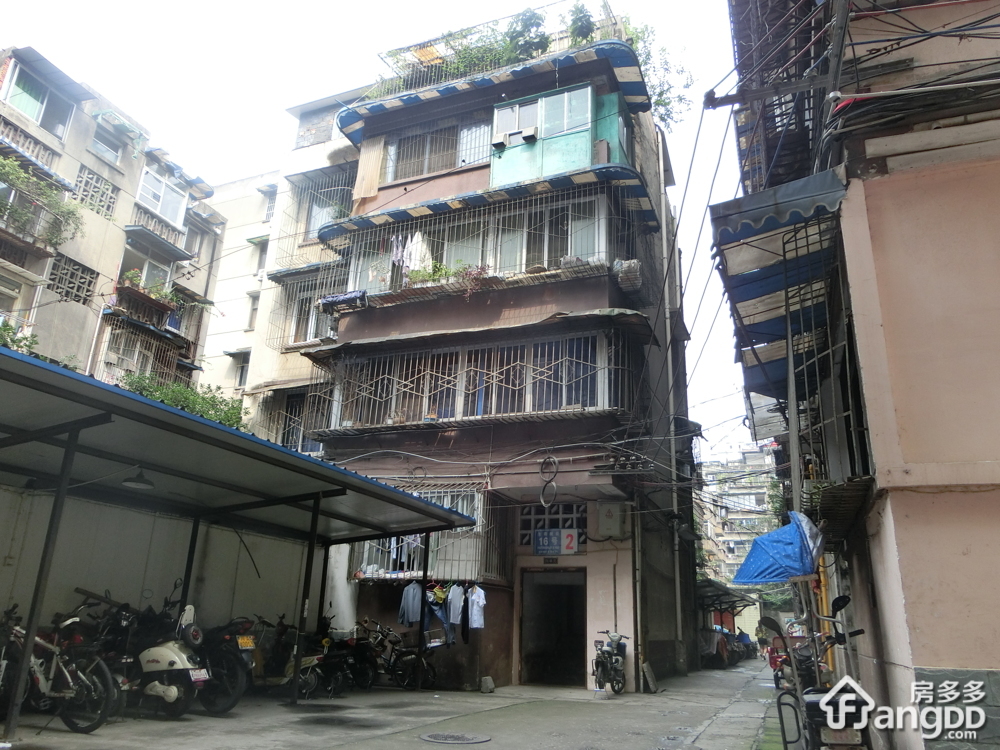 泡桐树街16号小区图片