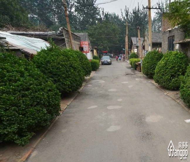 五洲小区小区图片