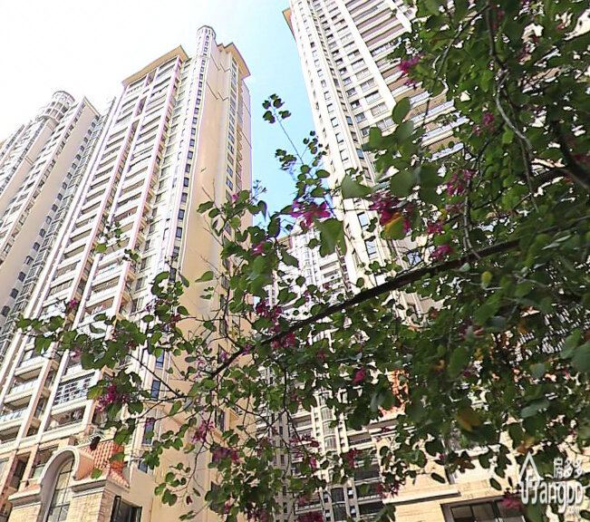 金城君悦小区图片