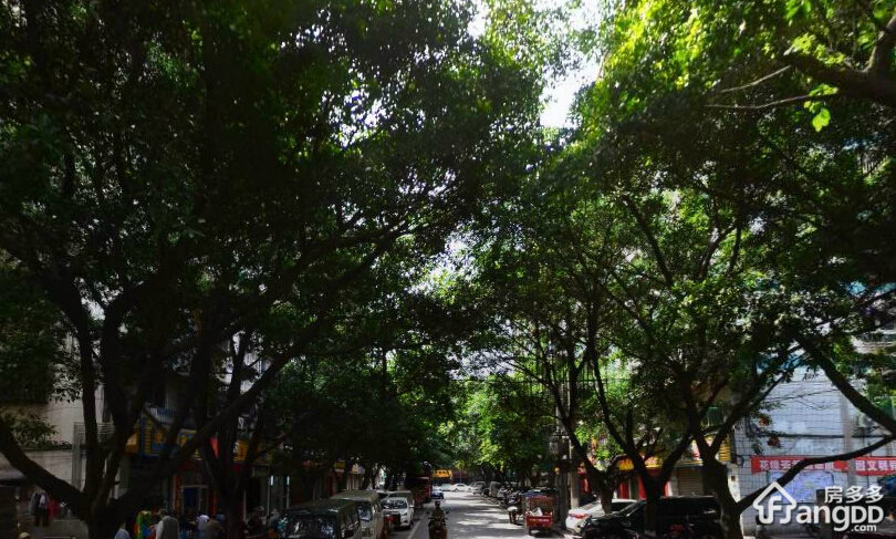 益寿园小区图片