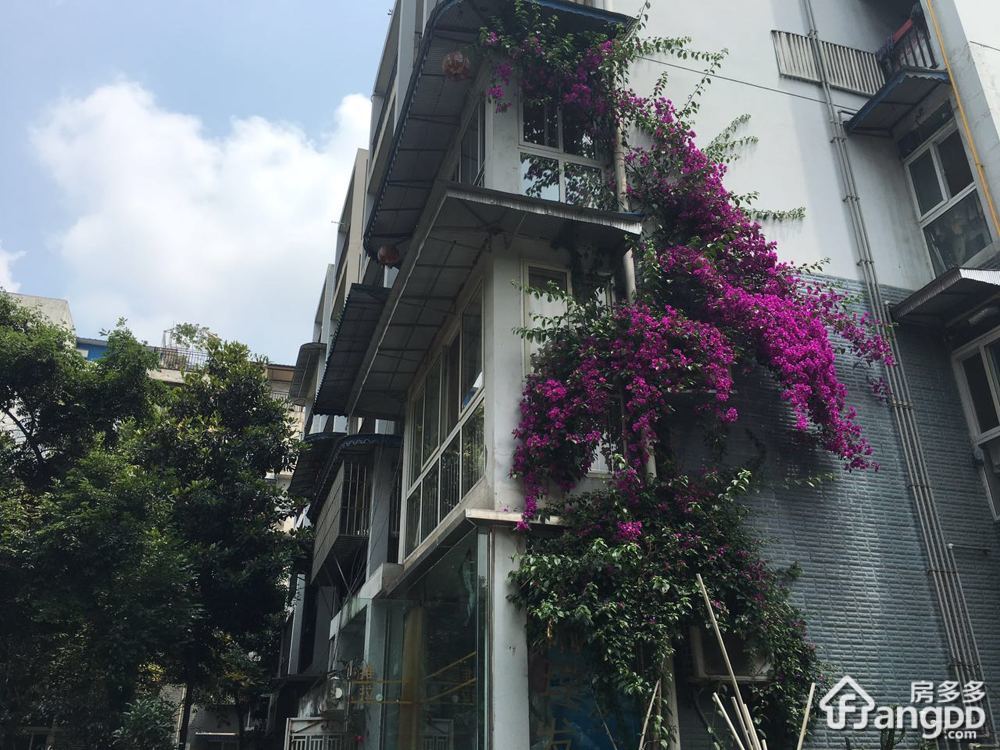 皇经花园A区小区图片