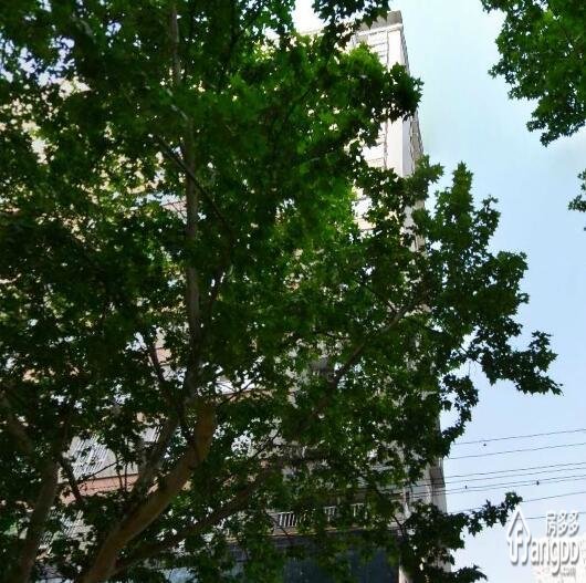 翔园新居小区图片