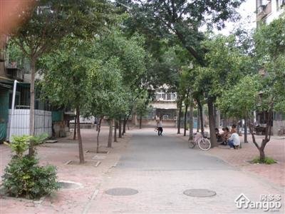 丰乐里小区图片