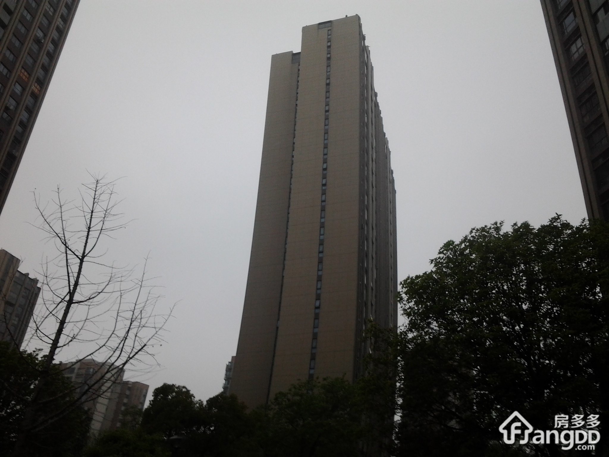合肥印象西湖实景【图】-合肥房多多