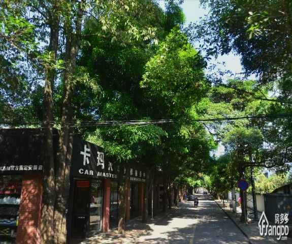 区计划经协住宅小区小区图片