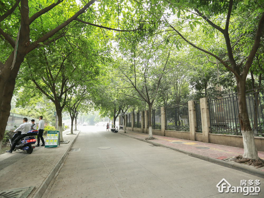 揽胜金沙小区图片