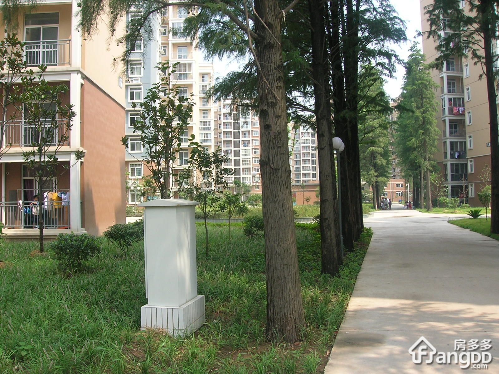 东勤佳苑小区图片