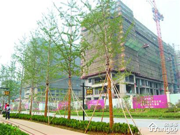 鑫汇阳光小区图片