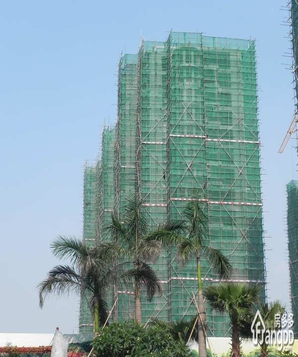 三宅一生小区图片