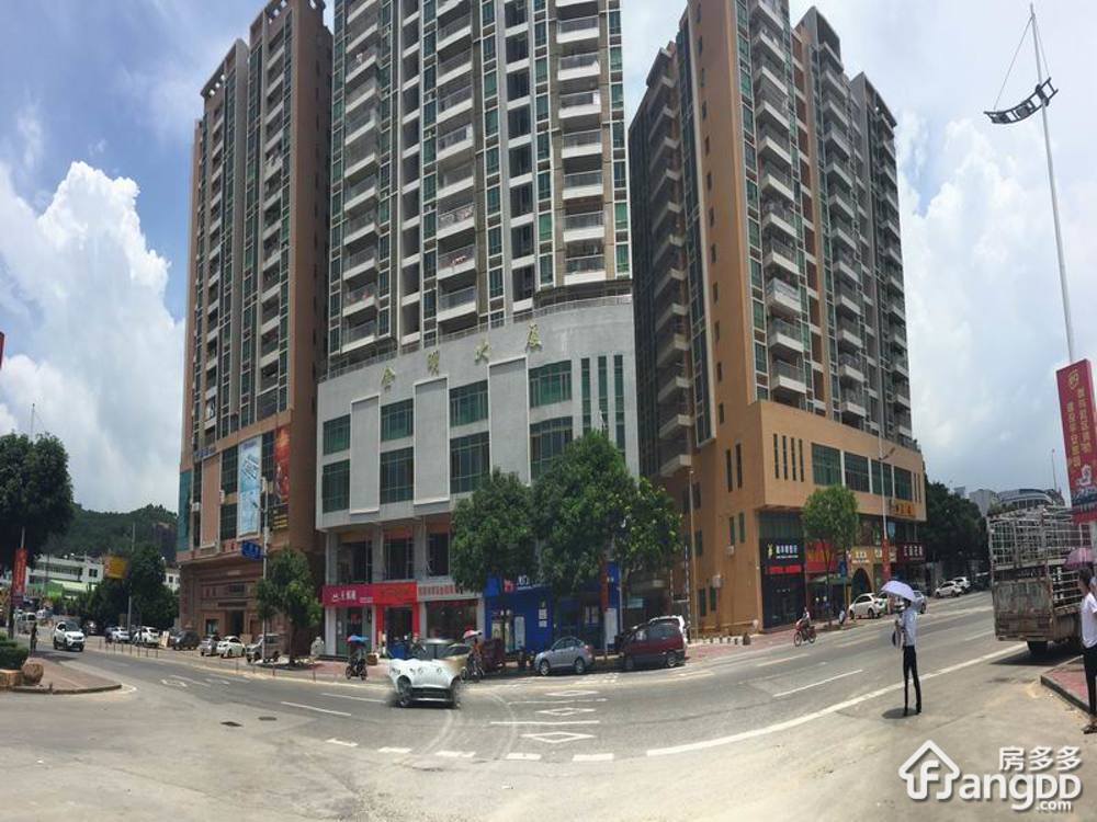 金洲综合楼小区图片