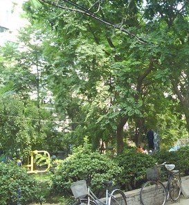 公安局家属院小区图片