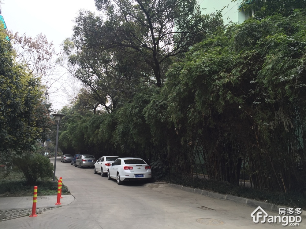 懋园西沿风景小区图片