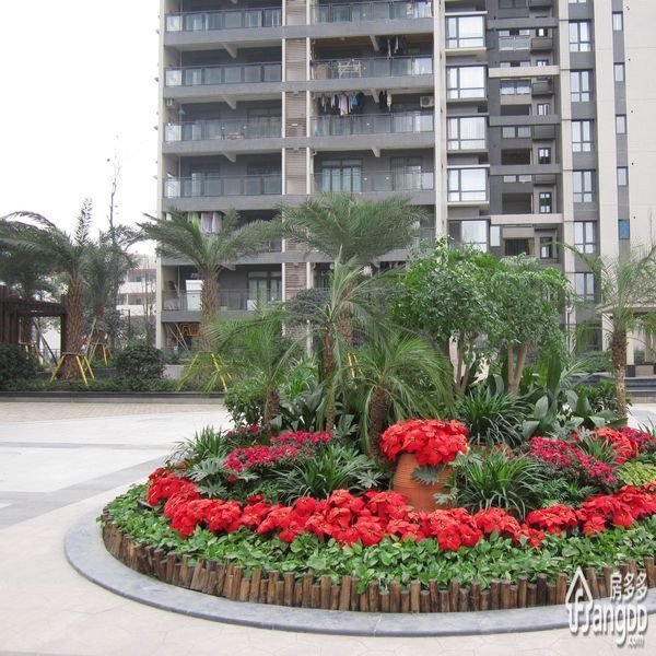 丽都锦城小区图片