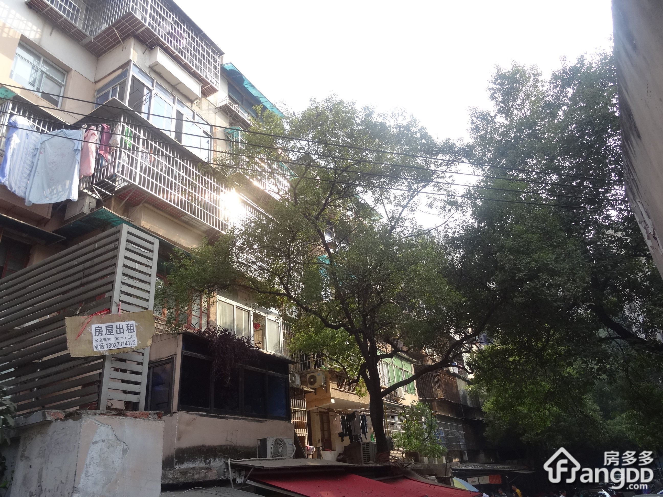 公交新村小区图片