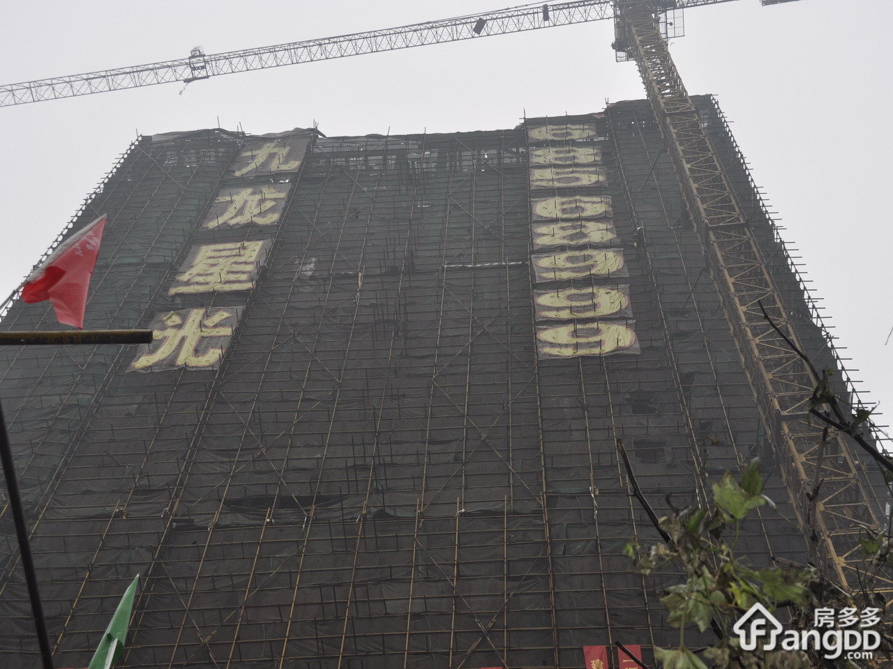 九龙星光小区图片