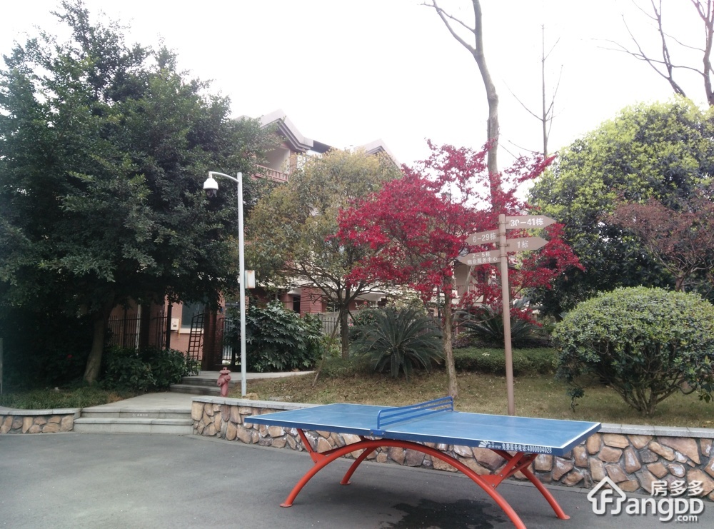银诚归墅小区图片