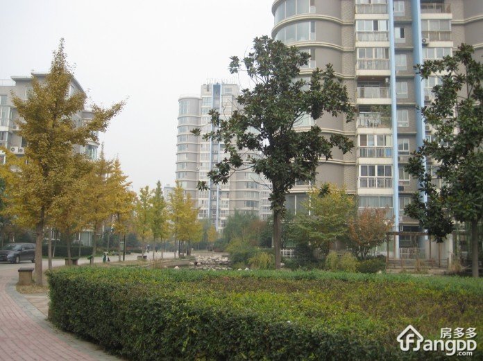 世家星城E区小区图片