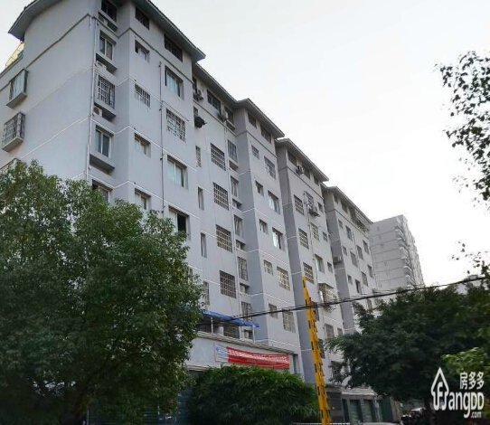 新塘小区小区图片