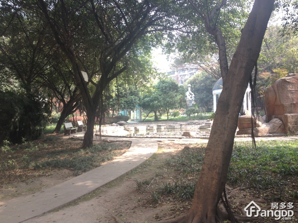 新城明珠小区图片