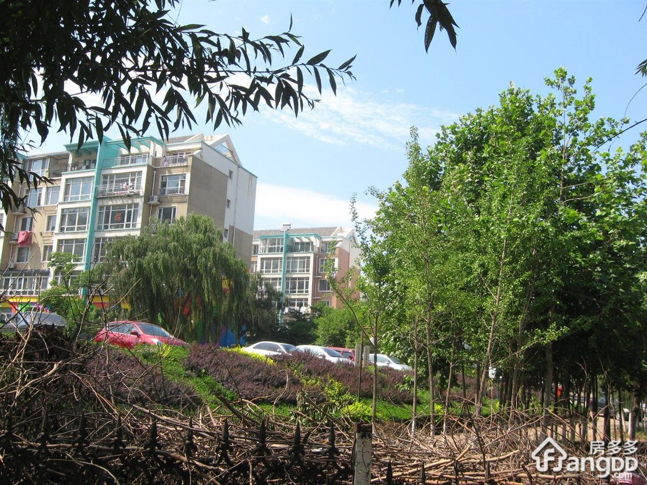 金色阳光家园小区图片