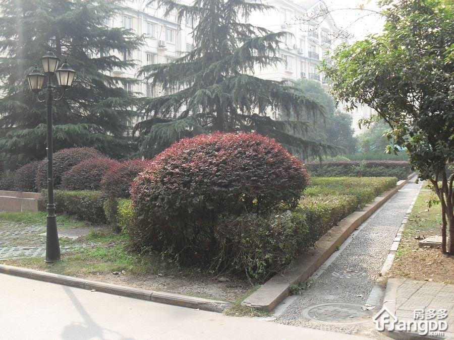 统建阳光花园南苑小区图片