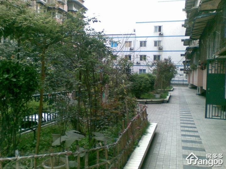 新华商住楼小区图片