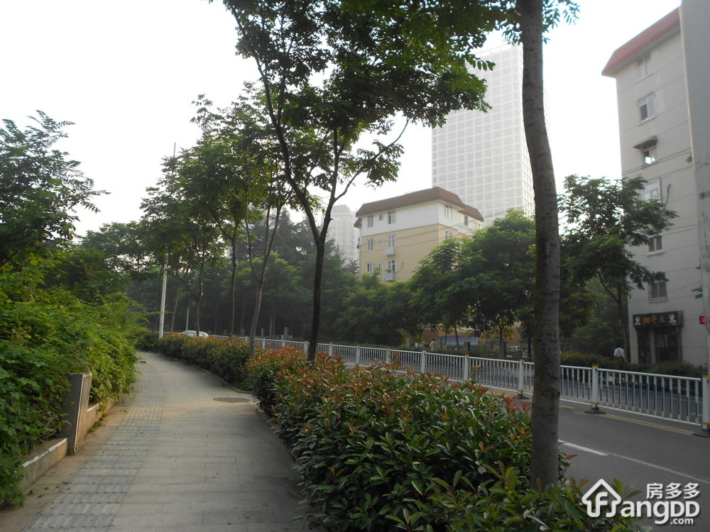 燕儿岛路（市南东区）小区图片