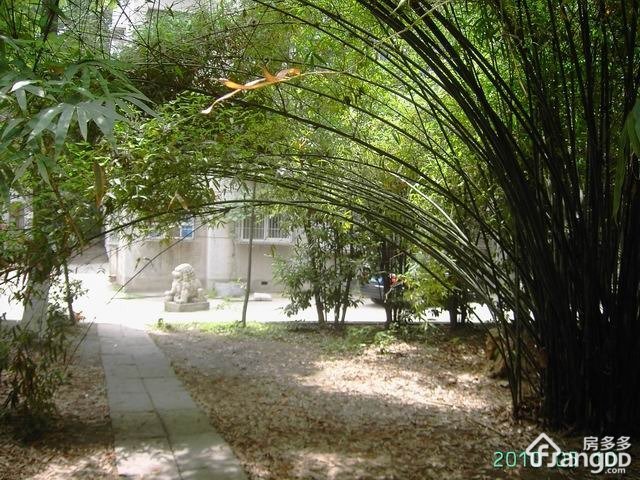 湖北美术学院教工宿舍小区图片