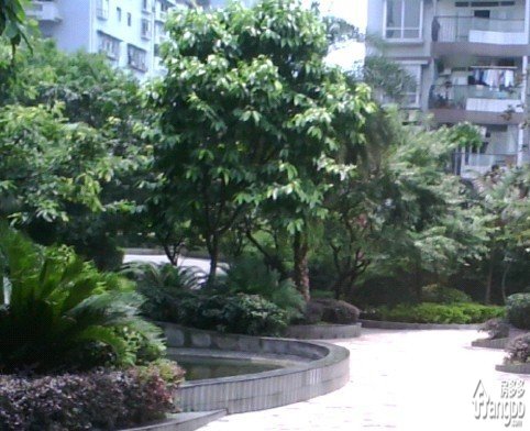 凤凰村小区图片