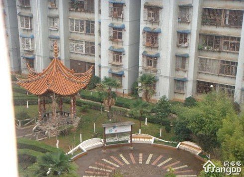 金星小区小区图片