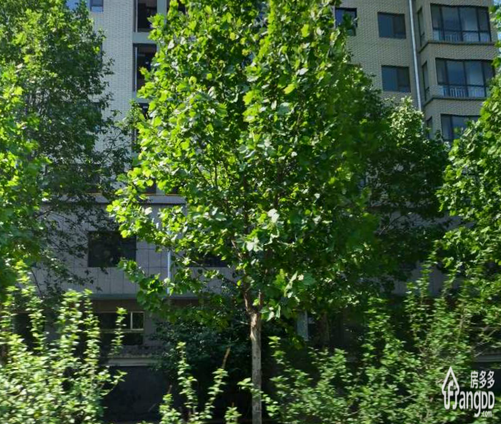紫鑫苑小区图片