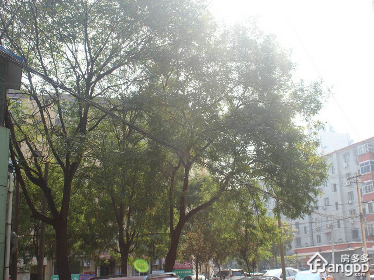 花家地南里小区图片