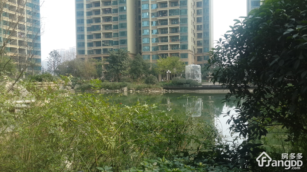 恒大名都小区图片
