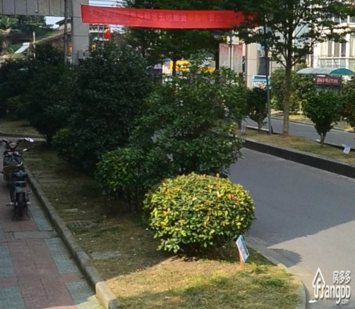 杰盛西苑小区图片