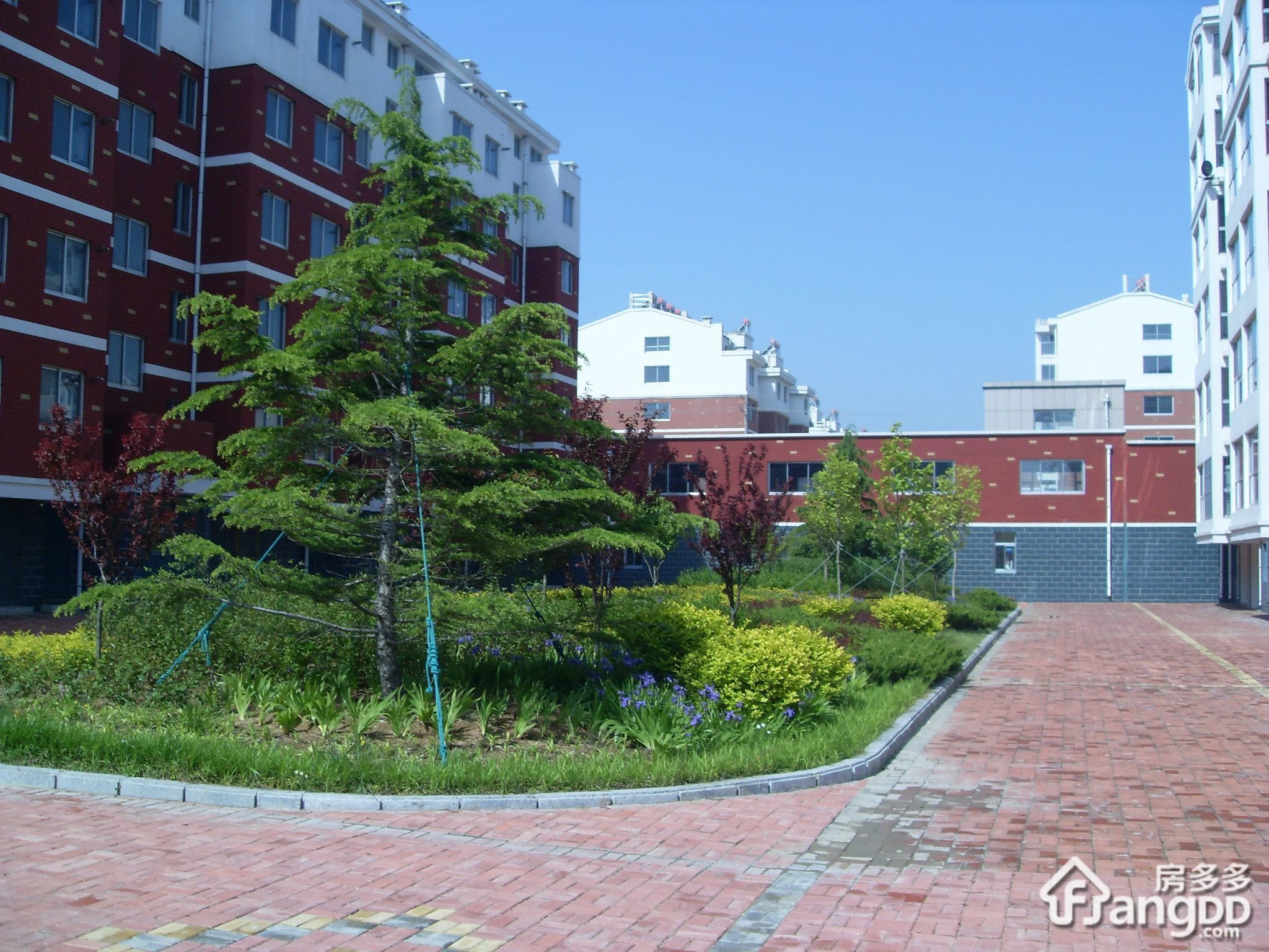 泰浩华新园小区图片
