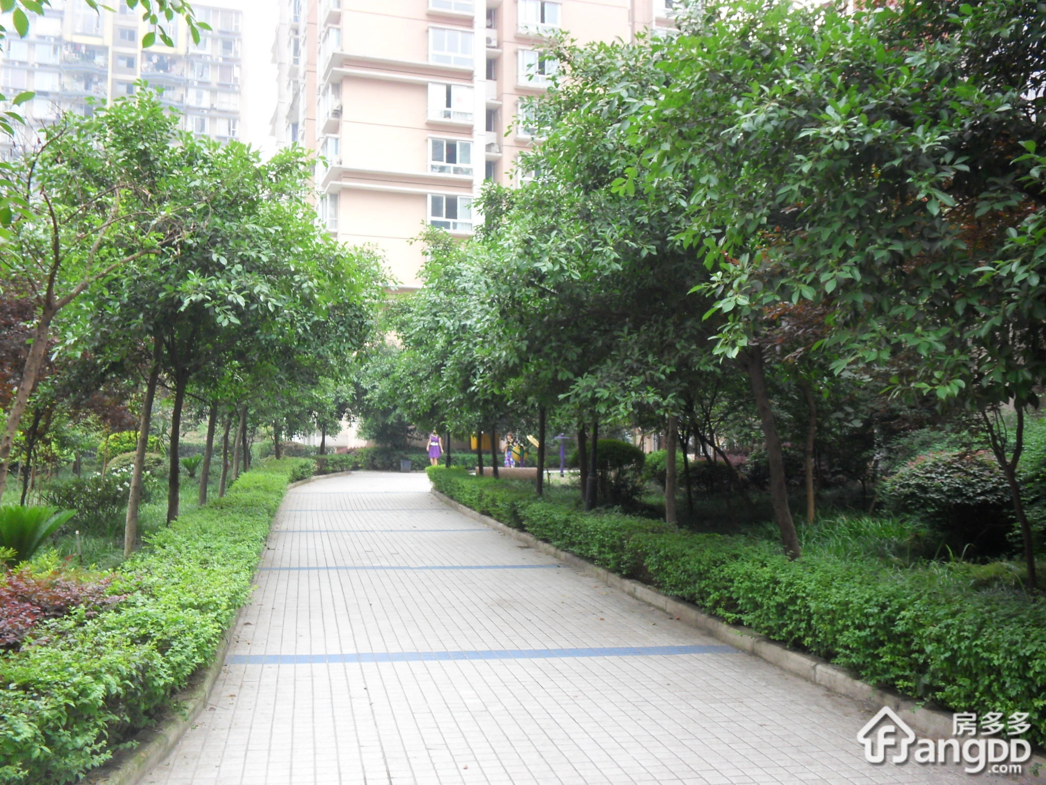 阳光小筑小区图片