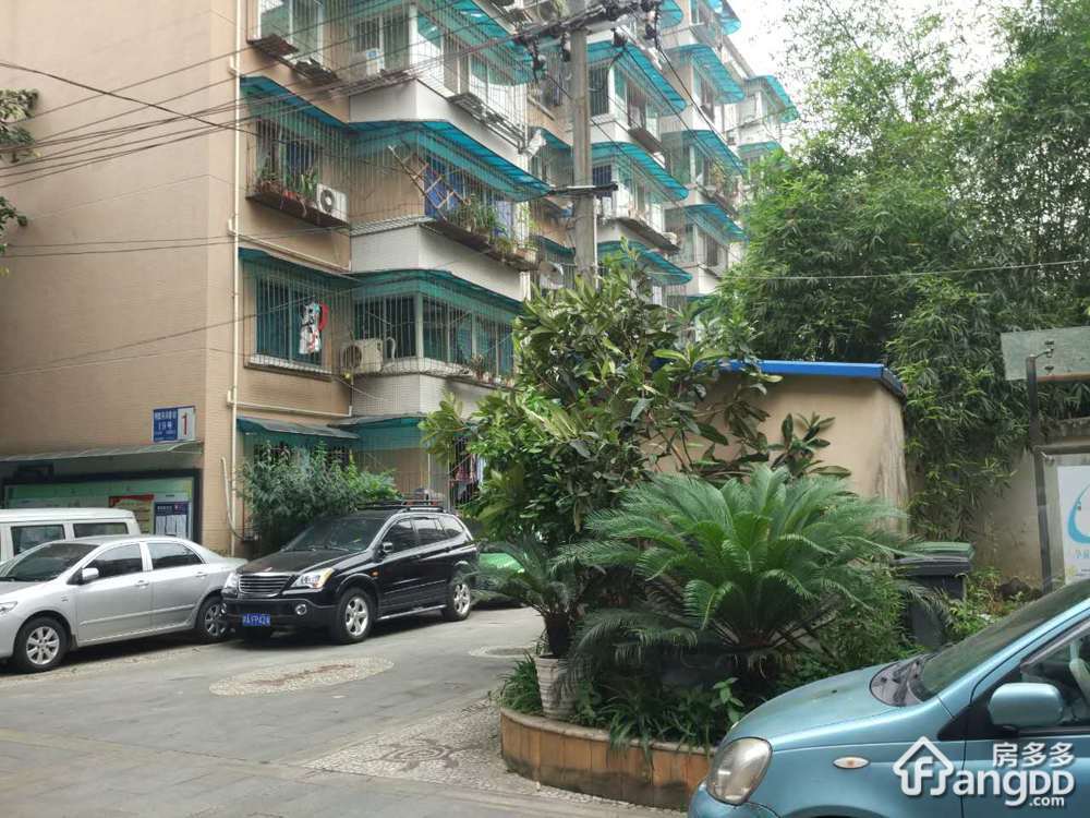肖家河兴蓉街19号小区图片