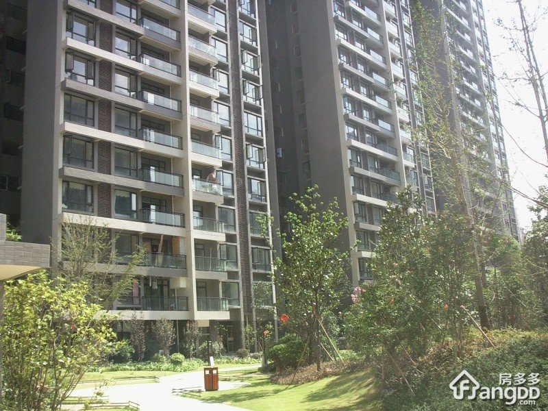 新长江香榭琴台小区图片