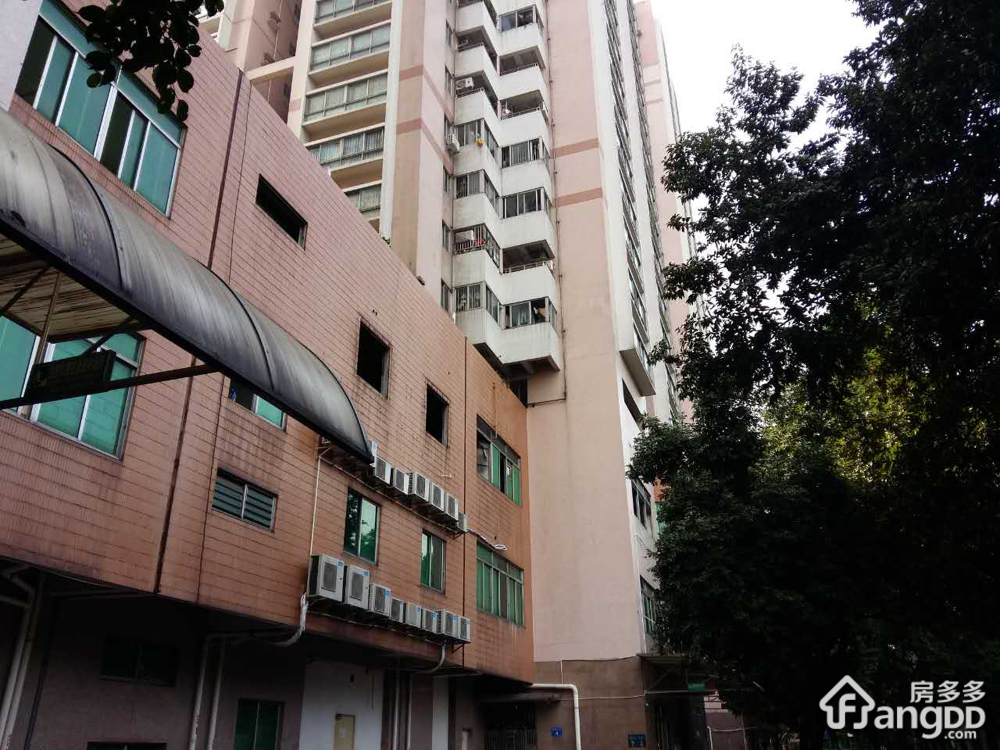 惠景城小区绿景一路36号小区图片