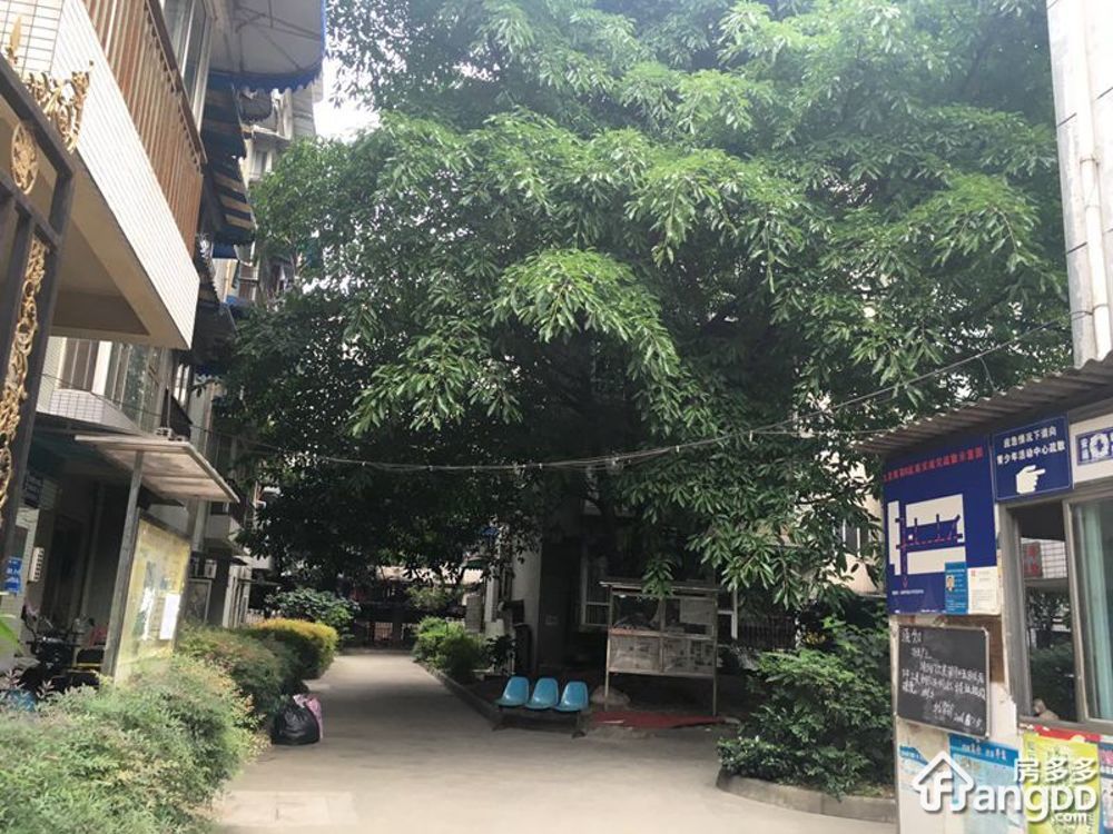九里西苑B区小区图片