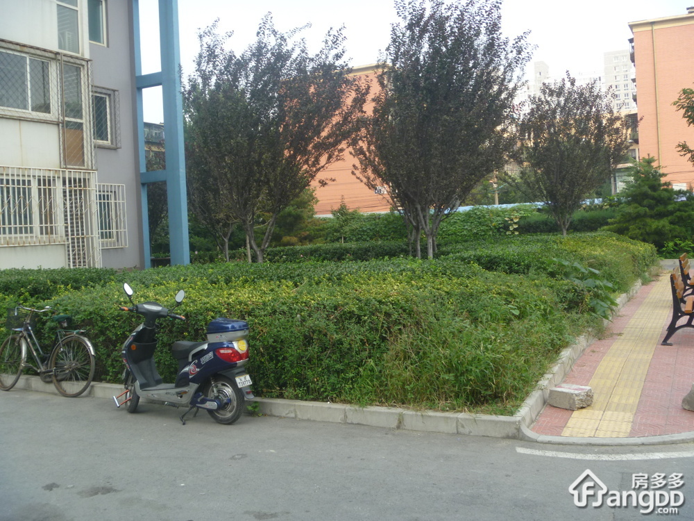 京棉新城小区图片