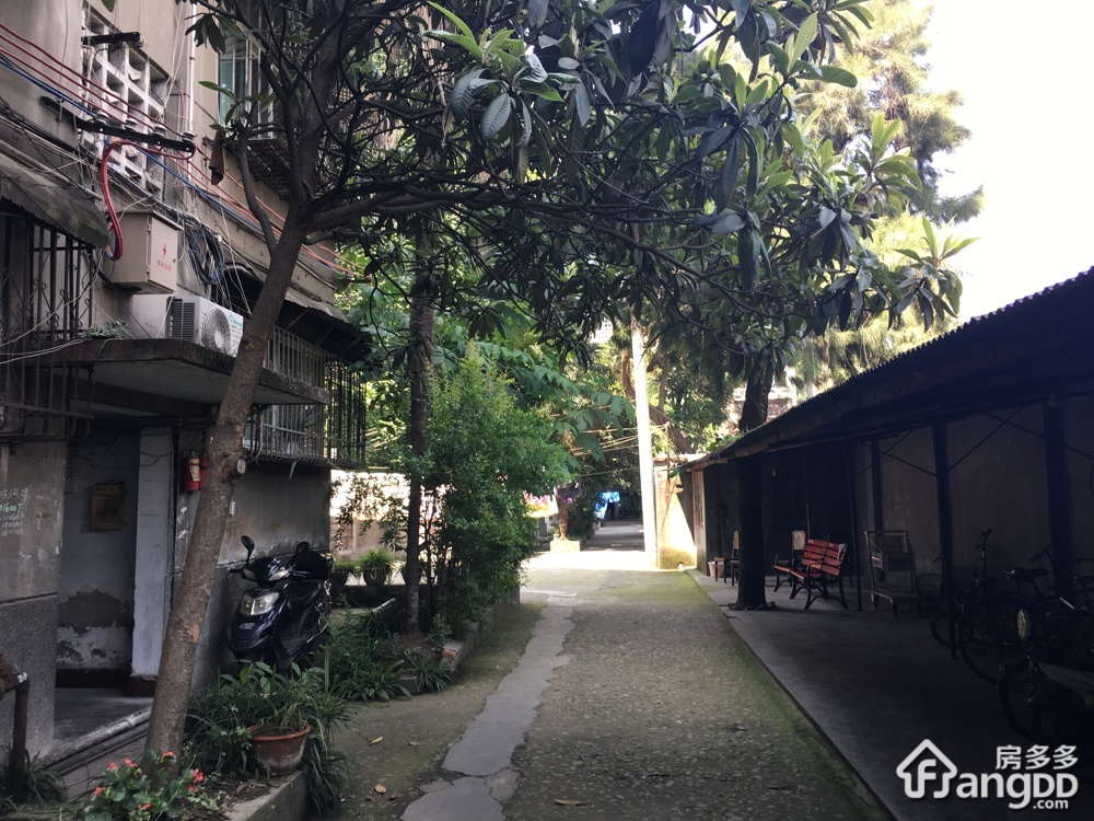 建国巷1号小区图片