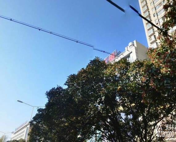 瑞泰欣城小区图片
