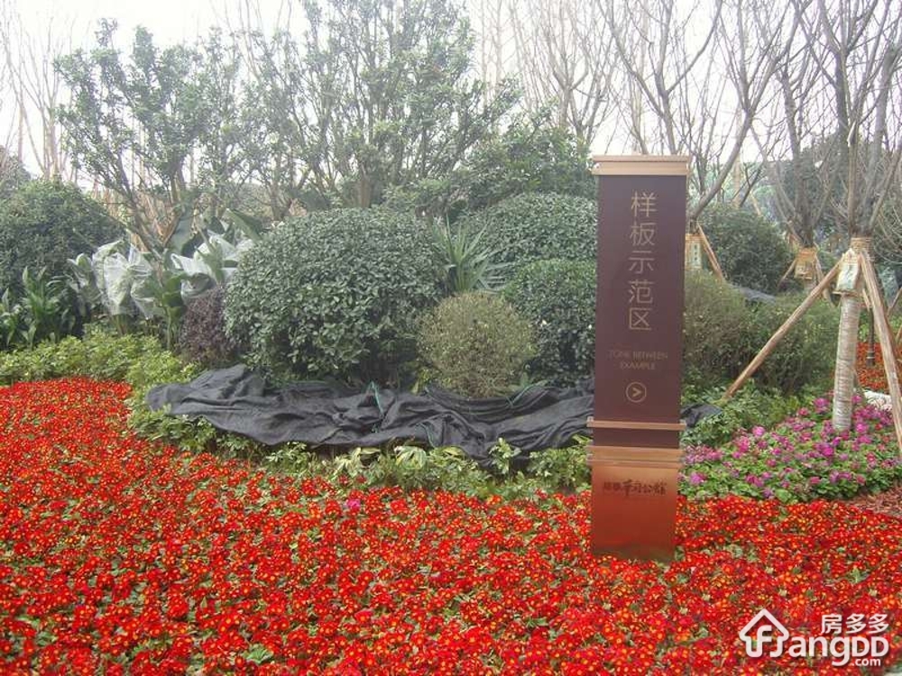 邦泰华府公馆小区图片