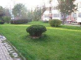 新康家园小区图片